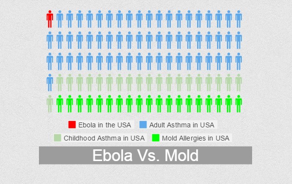 Ebola vs Mold Chart