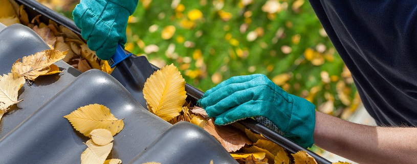 person cleaning debris from gutters