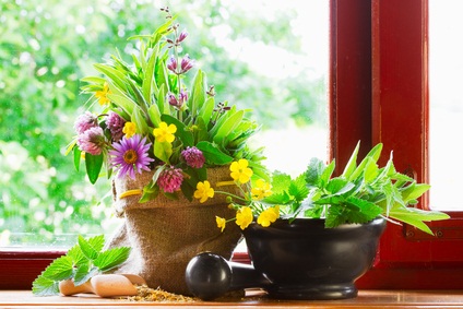 Indoor Plants to Feng Shui a Home