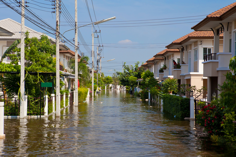 Flooded Houses