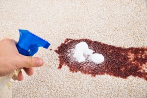 Person Spraying Vinegar and Water On Carpet