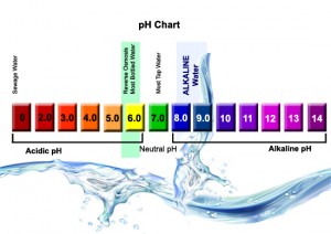 pH Levels