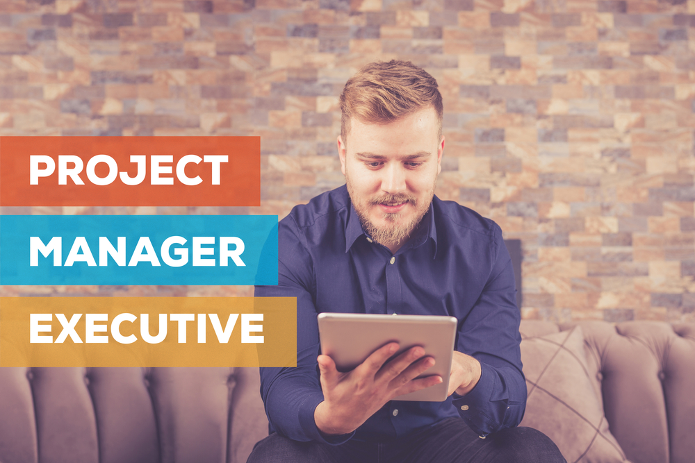 Project Manager Job