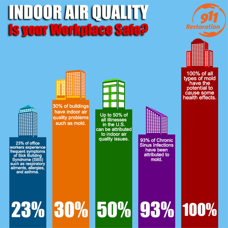 Indoor Air Quality infographic