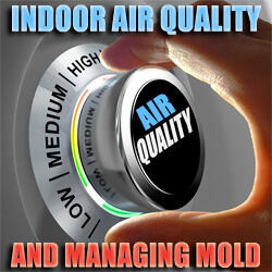 Indoor Air Quality Facility Mold Management