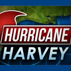 Hurricane Harvey Info