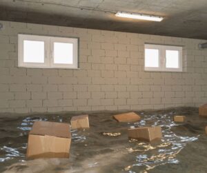 floating cardboard boxes in flooded basement