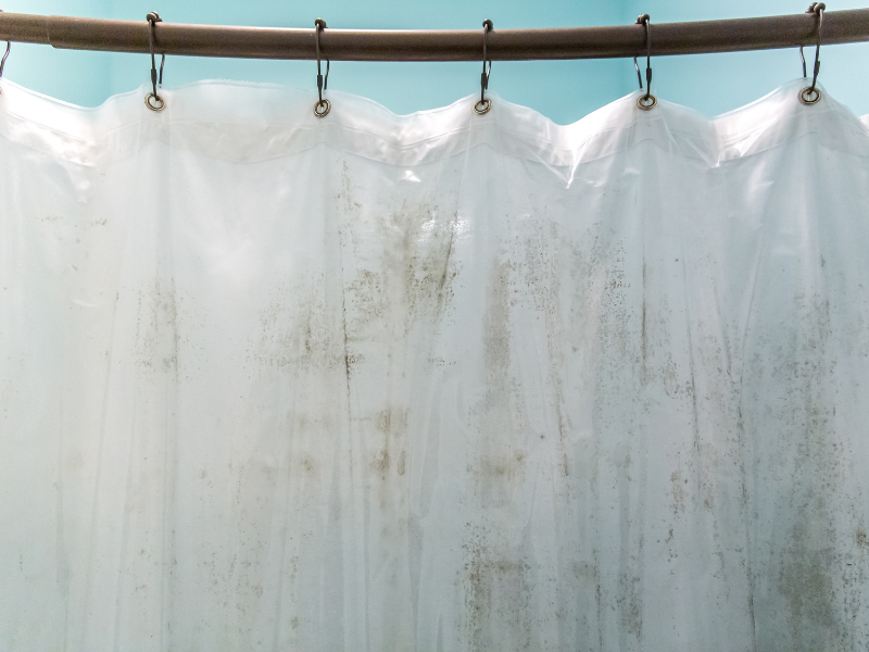 mildew on shower curtain